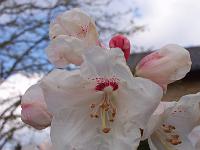 28-04-05kodak_036