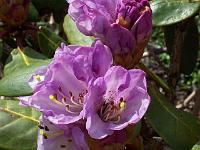 28-04-05kodak_043