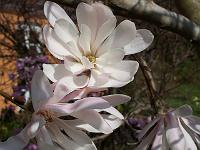 28-04-05kodak_087