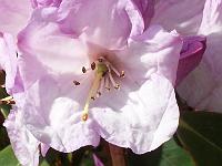 28-04-05kodak_139