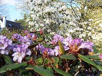 28-04-05kodak_160