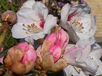 28-04-05kodak_175