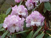 29-04-05kodak_007