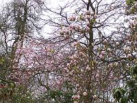 29-04-05kodak_049