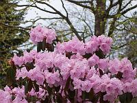 29-04-05kodak_050