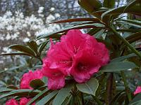 29-04-05kodak_089