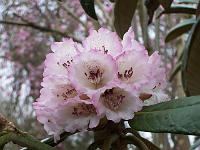 29-04-05kodak_179
