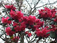 30-04-05kodak_095