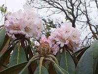 30-04-05kodak_114