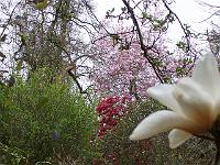 30-04-05kodak_118