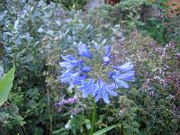 16-08-05canon_056