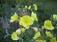 16-08-05canon_068