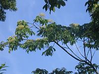 20-08-05canon_008