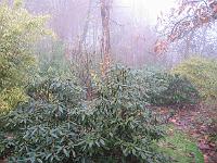 07-12-05canon_001