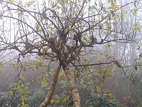 07-12-05canon_066