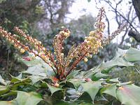 10-12-05canon_153
