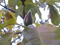10-12-05canon_165