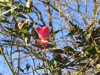 12-12-05canon_030