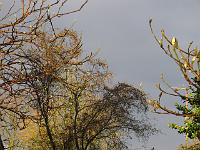 21-12-05canon_064