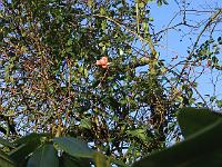 22-12-05canon_003