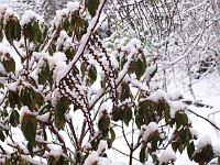 12-02-05kodak_018