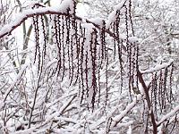 12-02-05kodak_021