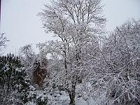 12-02-05kodak_022