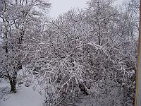 12-02-05kodak_026