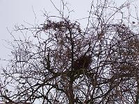16-02-05kodak_007