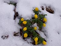 16-02-05kodak_010