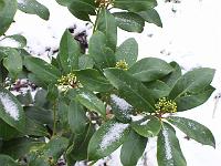 16-02-05kodak_022