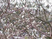 17-02-05kodak_035