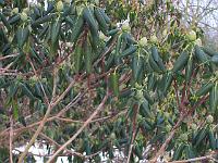 17-02-05kodak_037