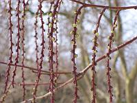 17-02-05kodak_043