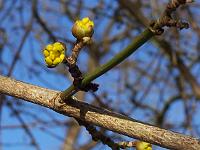 19-02-05kodak_009