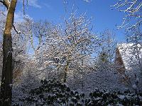 220105canon_002