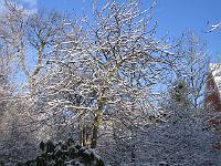 220105canon_003