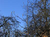 220105canon_022