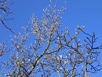 220105canon_028