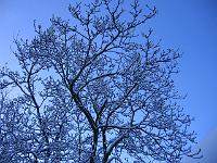 220105canon_034