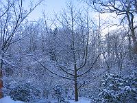 220105canon_036