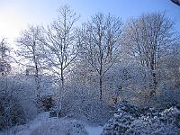 220105canon_041