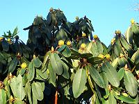 220105kodak_017