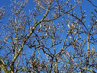 220105kodak_024
