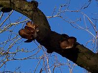220105kodak_030