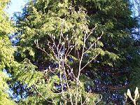 220105kodak_032