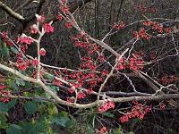 220105kodak_043