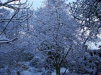 230105kodak_001