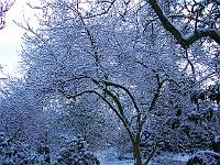 230105kodak_002