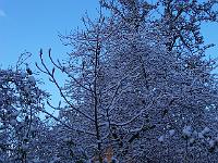 230105kodak_003